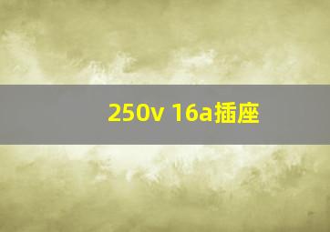 250v 16a插座